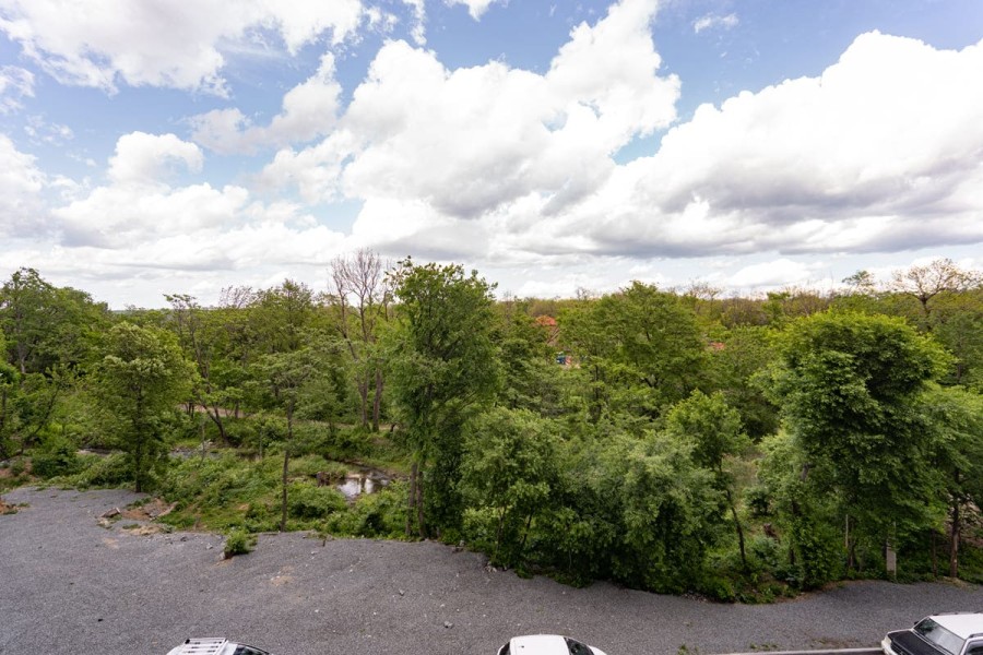 1-комнатная, 54.26 м² в Четыре Горизонта