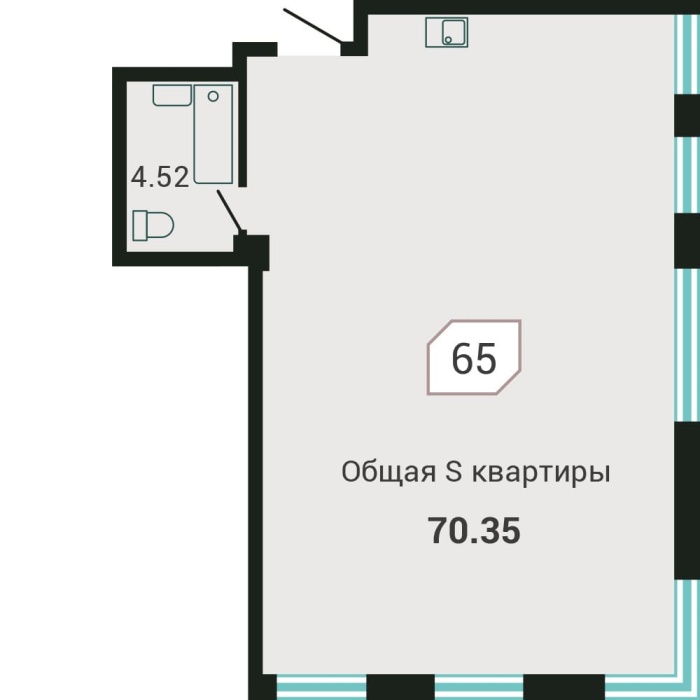 2-комнатная, 70.35 м² в Четыре Горизонта