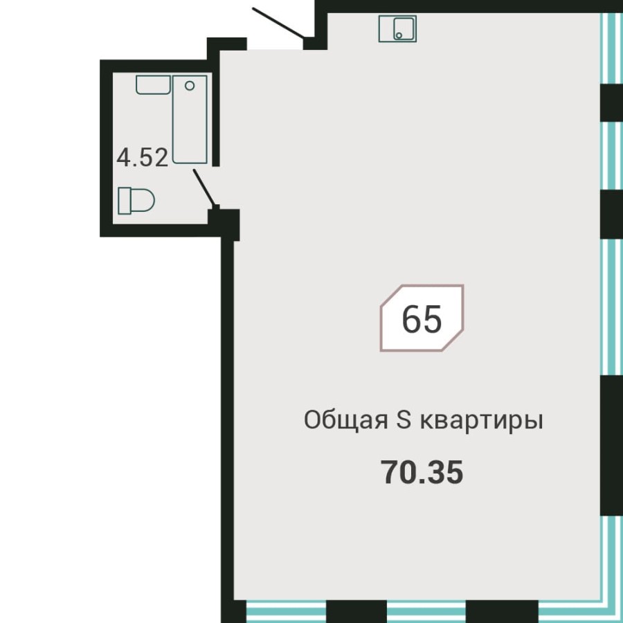 2-комнатная, 70.35 м² в Четыре Горизонта