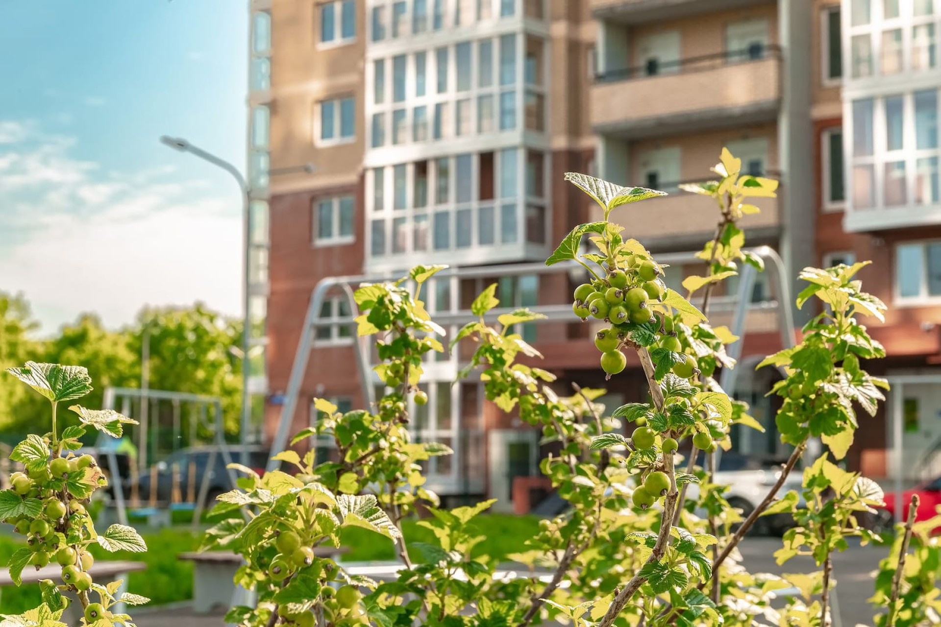 Золотая Долина